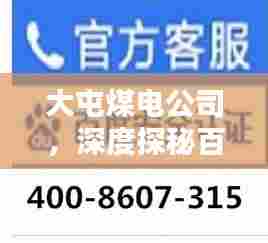 大屯煤电公司，深度探秘百度收录的焦点企业