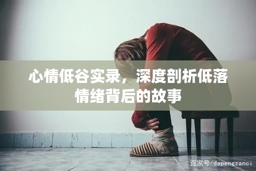 心情低谷实录，深度剖析低落情绪背后的故事