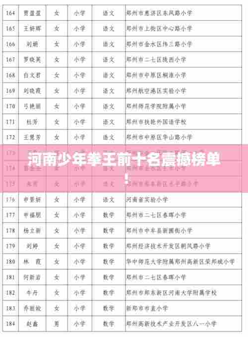 河南少年拳王前十名震撼榜单！