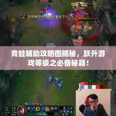 青蛙辅助攻略图揭秘,跃升游戏等级之必备秘籍!