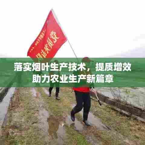 落实烟叶生产技术，提质增效助力农业生产新篇章