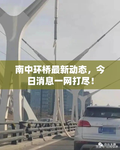 南中环桥最新动态,今日消息一网打尽!