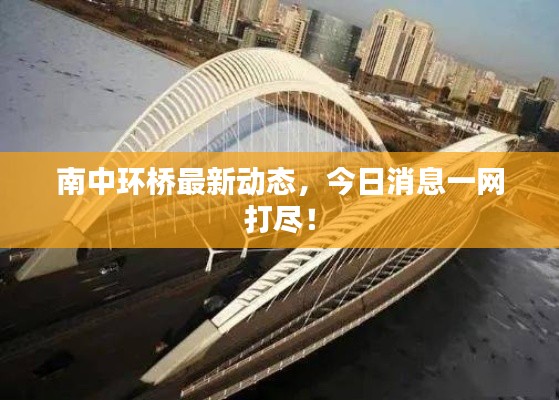 南中环桥最新动态,今日消息一网打尽!