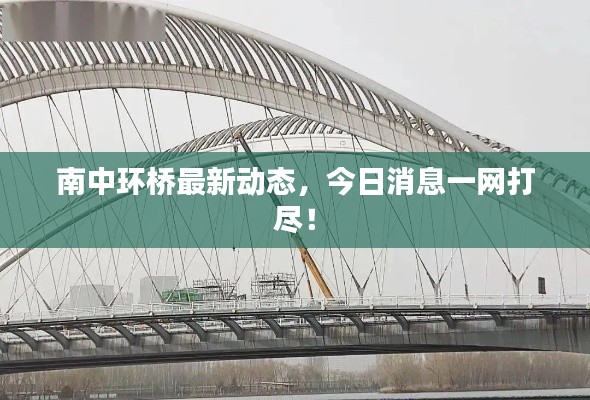 南中环桥最新动态,今日消息一网打尽!