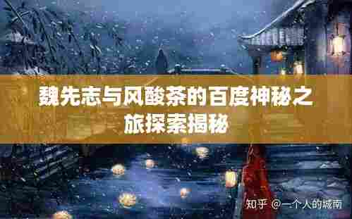 魏先志与风酸茶的百度神秘之旅探索揭秘