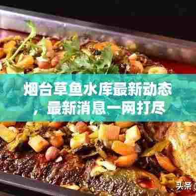 烟台草鱼水库最新动态,最新消息一网打尽