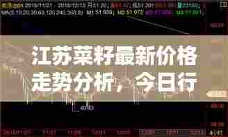 江苏菜籽最新价格走势分析,今日行情揭秘