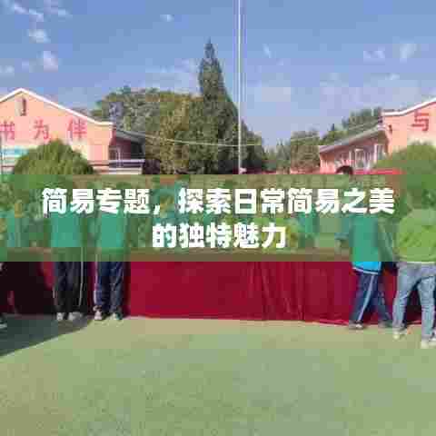 简易专题,探索日常简易之美的独特魅力