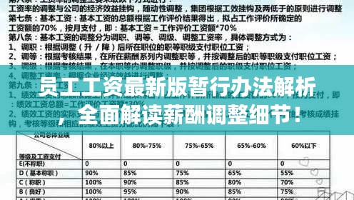 员工工资最新版暂行办法解析,全面解读薪酬调整细节!