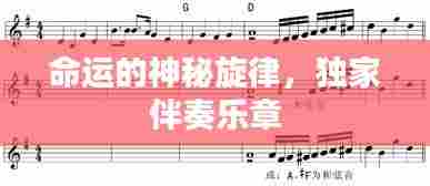 命运的神秘旋律，独家伴奏乐章