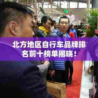 北方地区自行车品牌排名前十榜单揭晓!