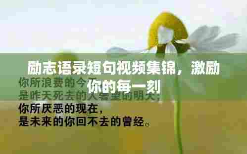 励志语录短句视频集锦,激励你的每一刻