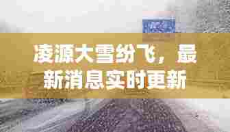凌源大雪纷飞，最新消息实时更新