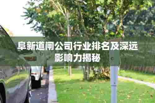 阜新道闸公司行业排名及深远影响力揭秘