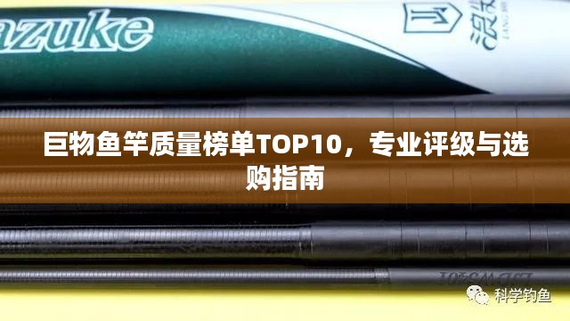 巨物鱼竿质量榜单TOP10,专业评级与选购指南