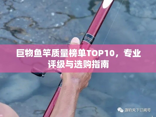 巨物鱼竿质量榜单TOP10,专业评级与选购指南