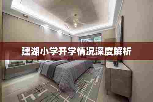建湖小学开学情况深度解析