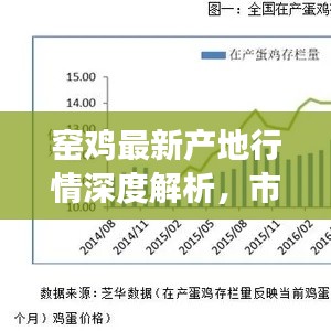 窑鸡最新产地行情深度解析，市场趋势、应对策略与产业前景