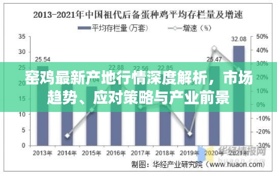 窑鸡最新产地行情深度解析,市场趋势、应对策略与产业前景