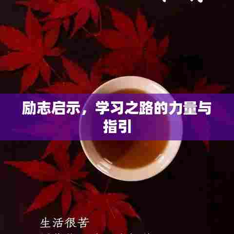励志启示，学习之路的力量与指引