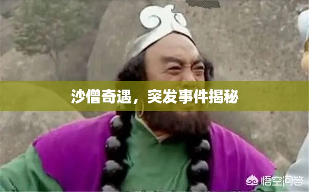 沙僧奇遇,突发事件揭秘