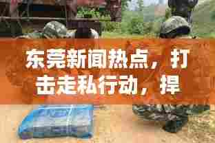 东莞新闻热点,打击走私行动,捍卫经济安全防线