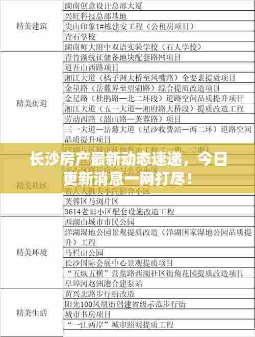 长沙房产最新动态速递,今日更新消息一网打尽!