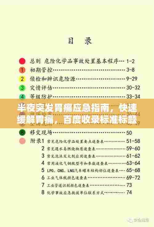 真独简贵 第6页