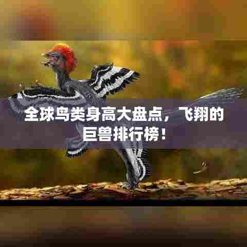 全球鸟类身高大盘点,飞翔的巨兽排行榜!