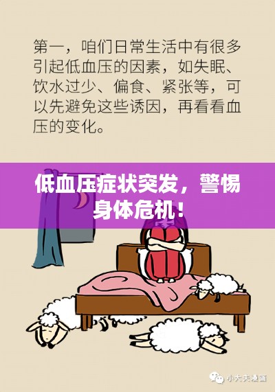 低血压症状突发,警惕身体危机!