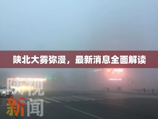 下马看花 第6页