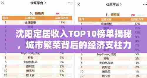 沈阳定居收入TOP10榜单揭秘，城市繁荣背后的经济支柱力量