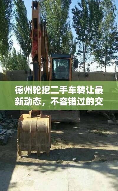 德州轮挖二手车转让最新动态,不容错过的交易信息!