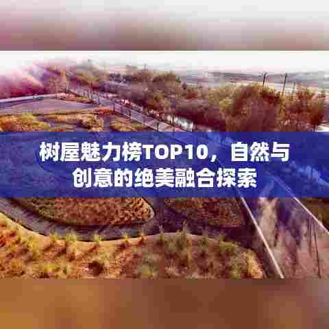 树屋魅力榜TOP10，自然与创意的绝美融合探索