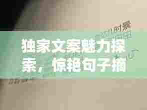 独家文案魅力探索,惊艳句子摘抄分享