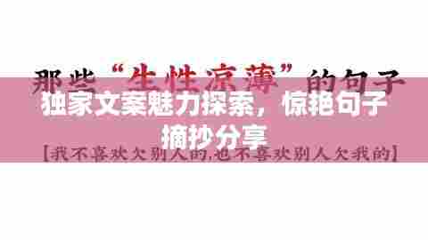 独家文案魅力探索,惊艳句子摘抄分享
