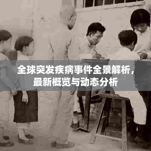 全球突发疾病事件全景解析，最新概览与动态分析