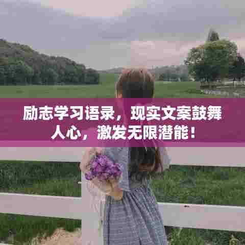 励志学习语录,现实文案鼓舞人心,激发无限潜能!