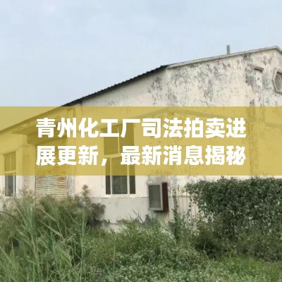 青州化工厂司法拍卖进展更新,最新消息揭秘