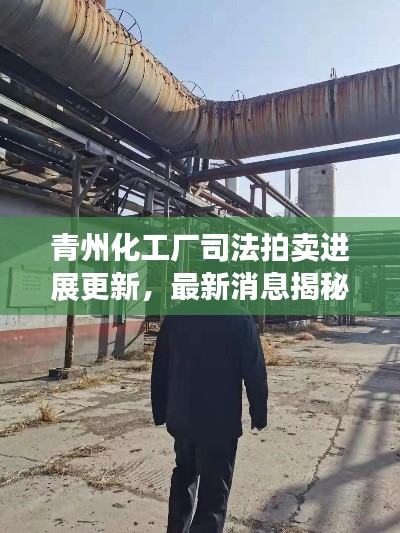 青州化工厂司法拍卖进展更新,最新消息揭秘