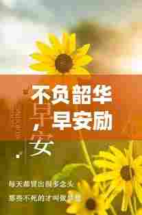 不负韶华,早安励志语录,激发你一天的活力!