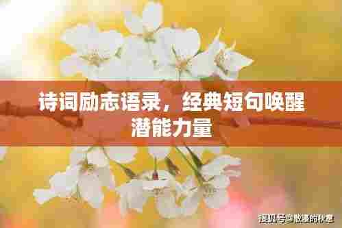 诗词励志语录，经典短句唤醒潜能力量