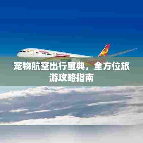 宠物航空出行宝典,全方位旅游攻略指南