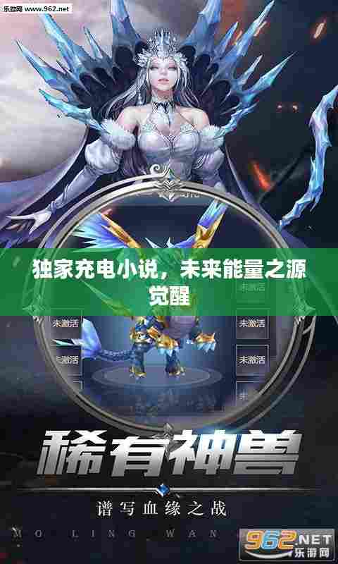 独家充电小说,未来能量之源觉醒