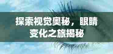 探索视觉奥秘,眼睛变化之旅揭秘