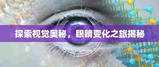 探索视觉奥秘,眼睛变化之旅揭秘
