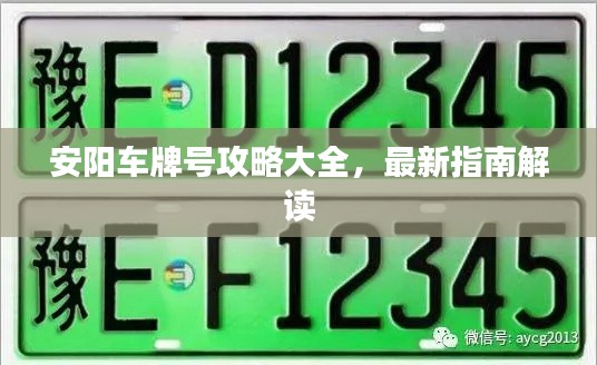安阳车牌号攻略大全,最新指南解读