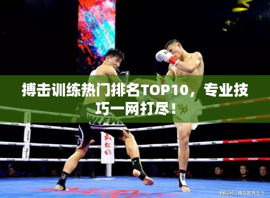 搏击训练热门排名TOP10，专业技巧一网打尽！