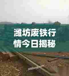 潍坊废铁行情今日揭秘,最新动态一网打尽