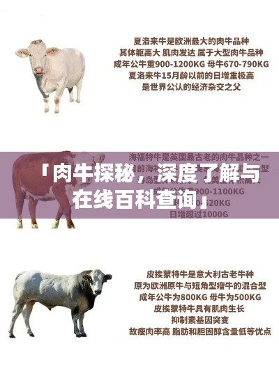 「肉牛探秘,深度了解与在线百科查询」